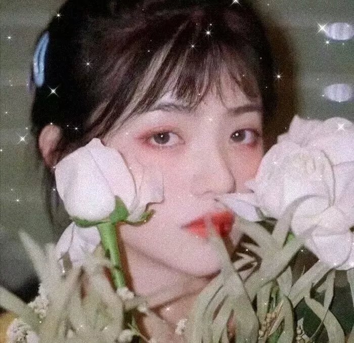 恋爱的发现